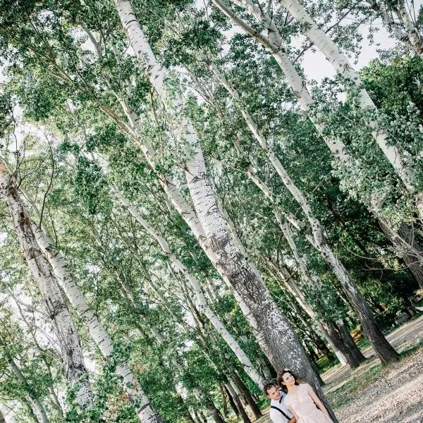 Cununie Maria si George in padure