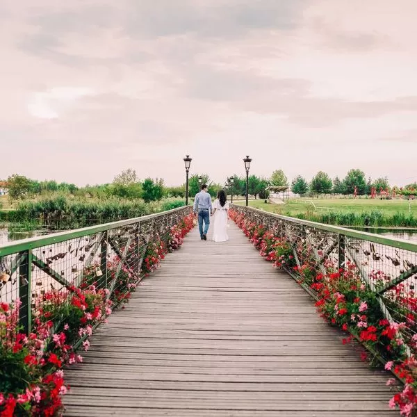 Plimbare pasarela miri save the date