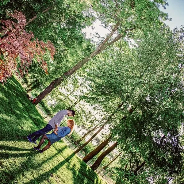 Sedinta foto gravide la padure