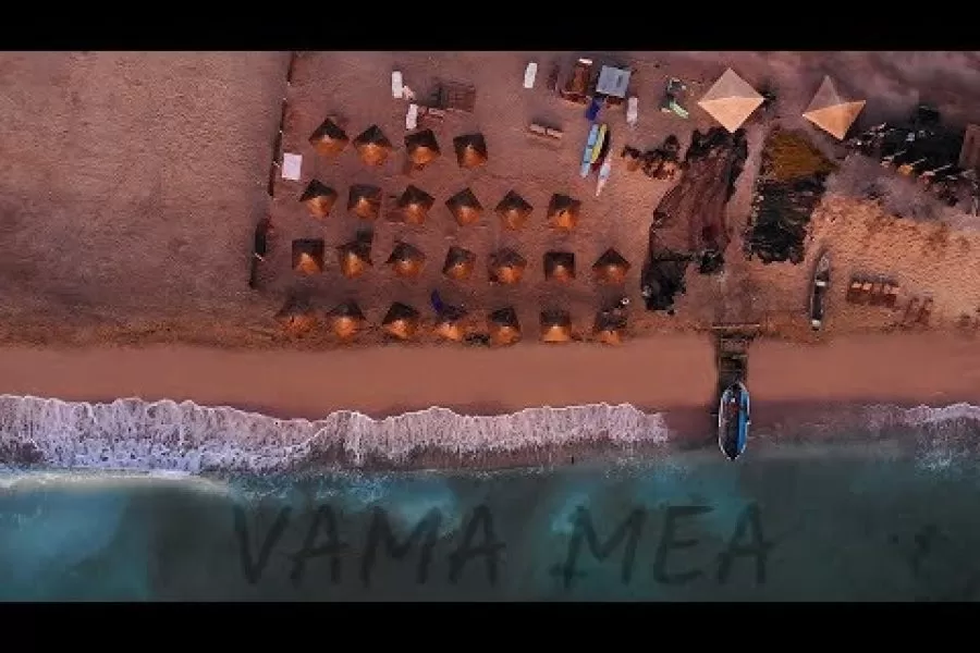 Vama mea – 2019