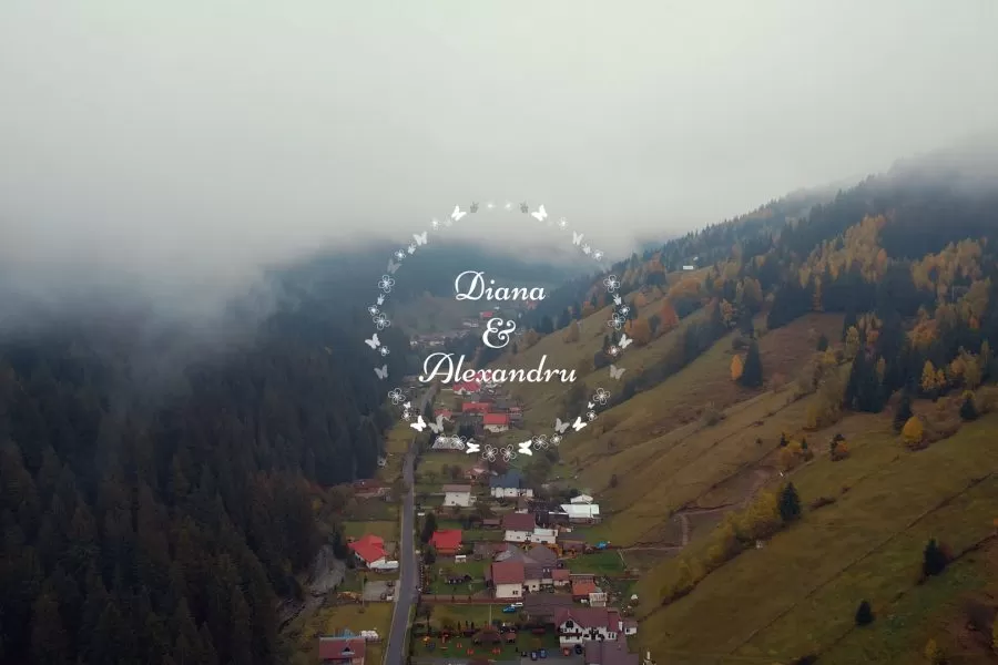 Nunta Diana & Alexandru