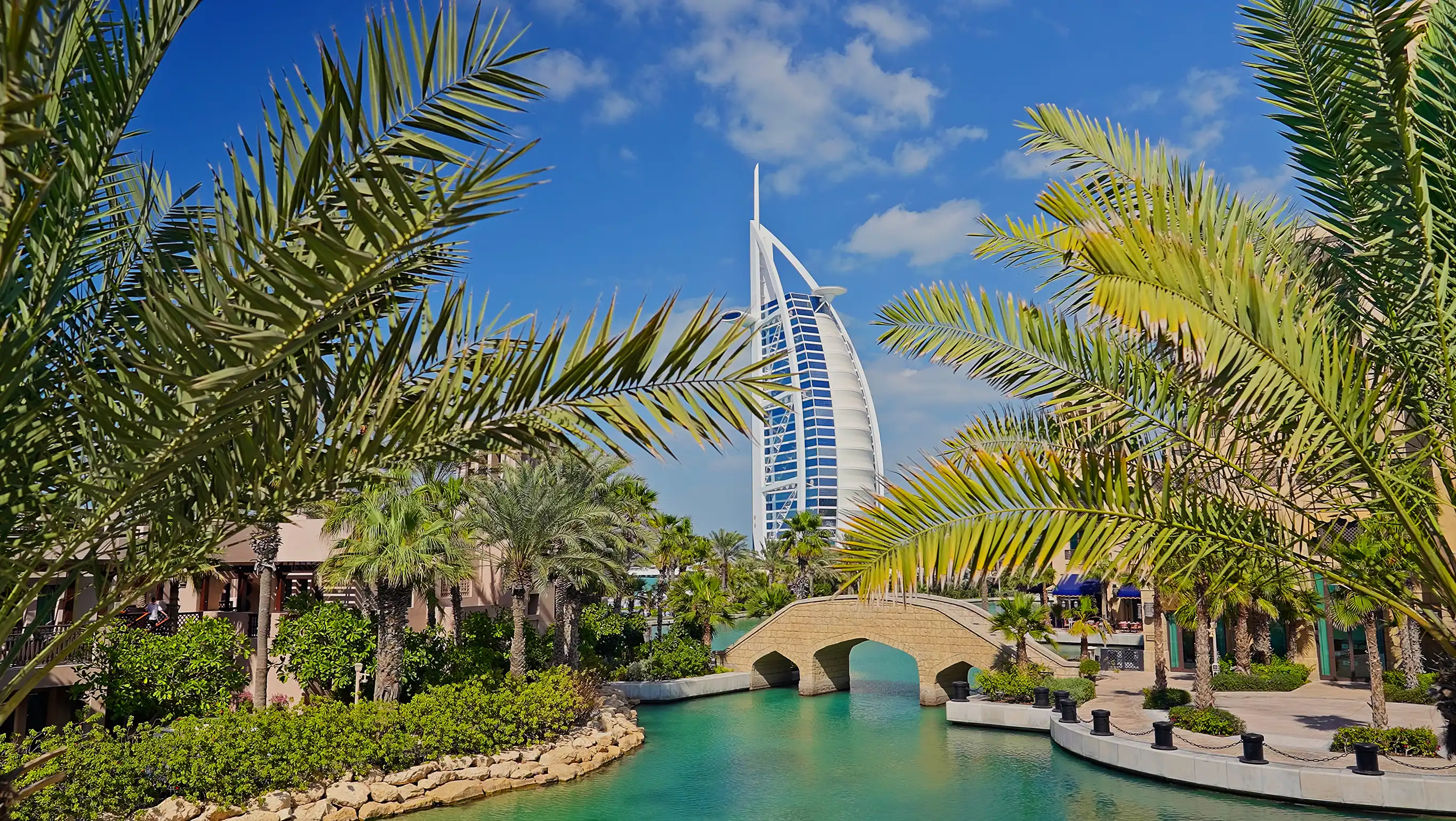 Demo After Video Dubai Log 10bit
