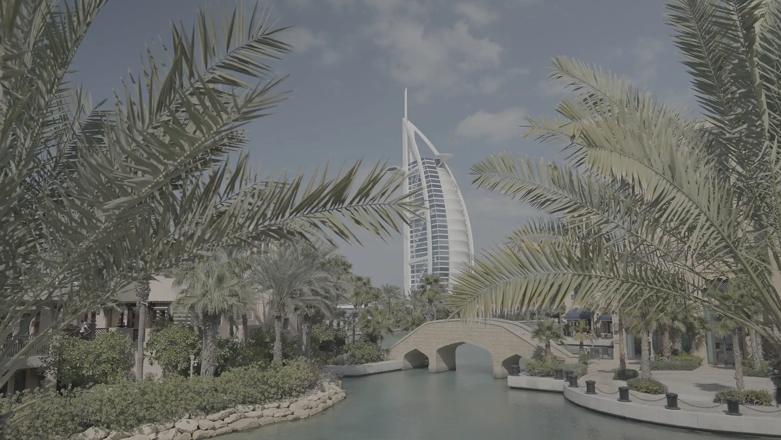 Demo Before Video Dubai Log 10bit